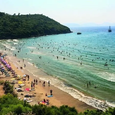 Misa Guzelcamlı