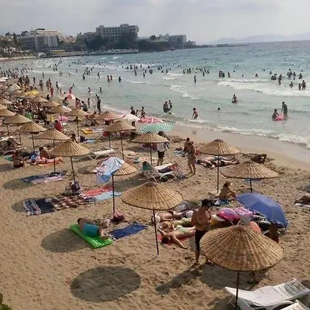 Misa Güzelçamlı