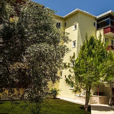 Misa Güzelçamlı